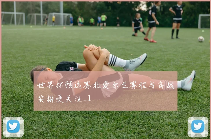世界杯预选赛北爱尔兰赛程与备战安排受关注_1