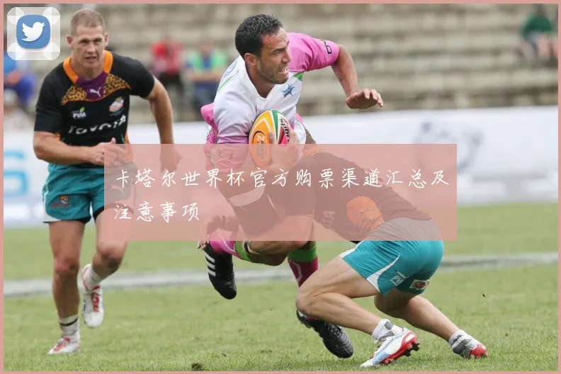 卡塔尔世界杯官方购票渠道汇总及注意事项
