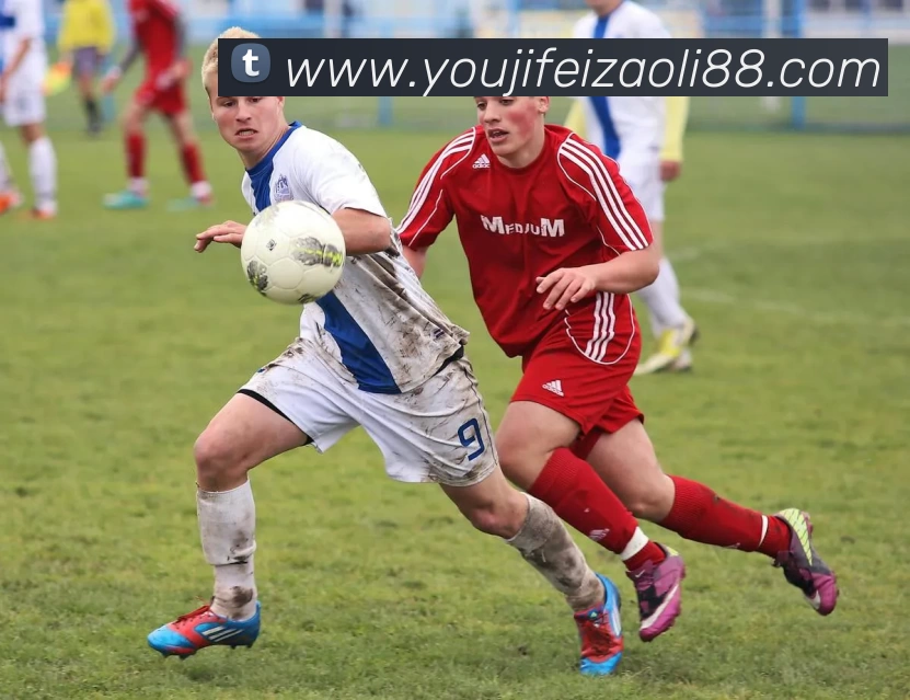 滚球官网appAPP 高清赛事图